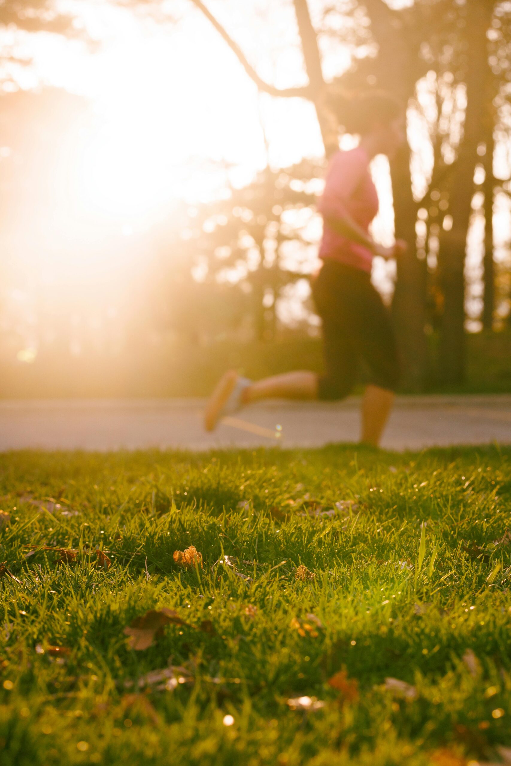 Runner on a green wooded path